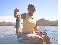 Apache Lake Bass Caught on A Spinnerbait