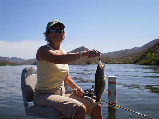 Apache Lake Bass On A Spinnerbait