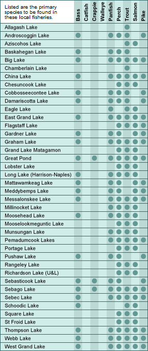 Maine major lakes and fish chart