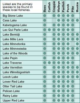Minnesota major lakes and fish chart