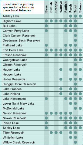 Montana major lakes and fish chart