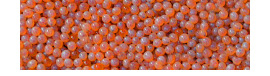 Salmon eggs for trout fishing