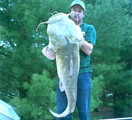 80-pound Missouri flathead catfish