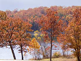 Smithville in autumn