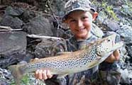 Vermont brown trout caught by Chase Stokes