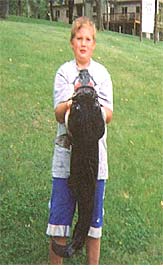 Big Wisconsin Catfish